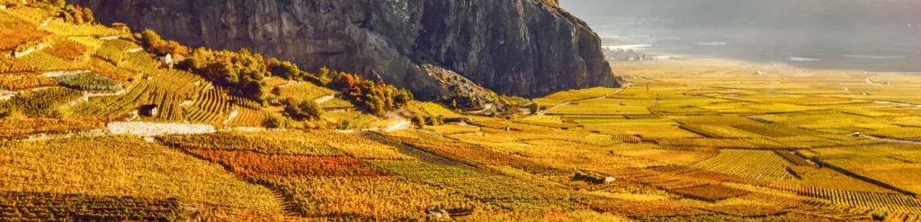 2017_Automne_Oenotourisme_Vignoble__c__Valais_Wallis_Promotion_-_Frederic_Huber__40_-min